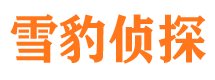 南阳外遇调查取证